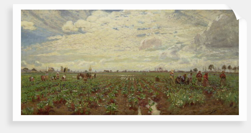 Fieldworkers, Holland, 1880s by David Murray