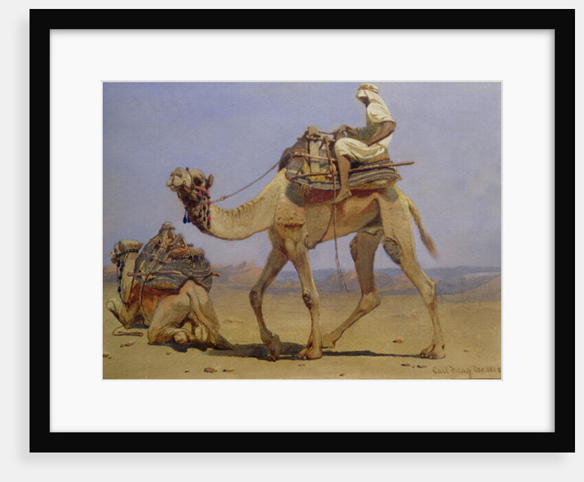 Camel Preparing to Lie Down, 1858 by Carl Haag