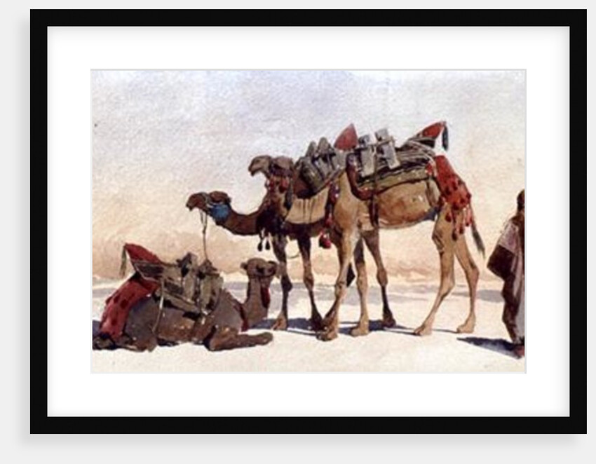 Resting with Three Camels in the Desert, 1859 by Carl Haag