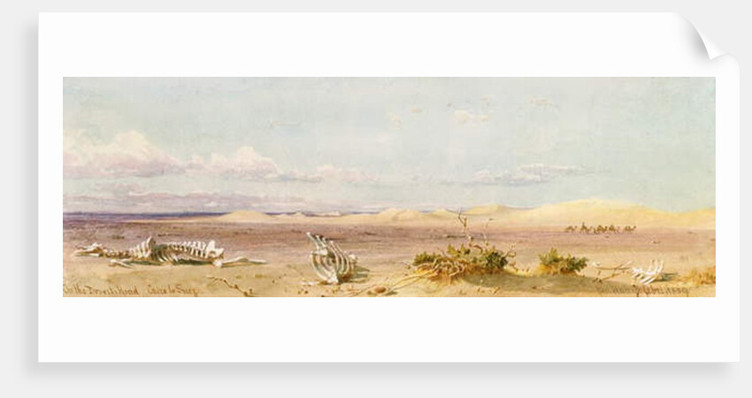 Sand Hills in the Desert, Cairo, Suez, 1859 by Carl Haag