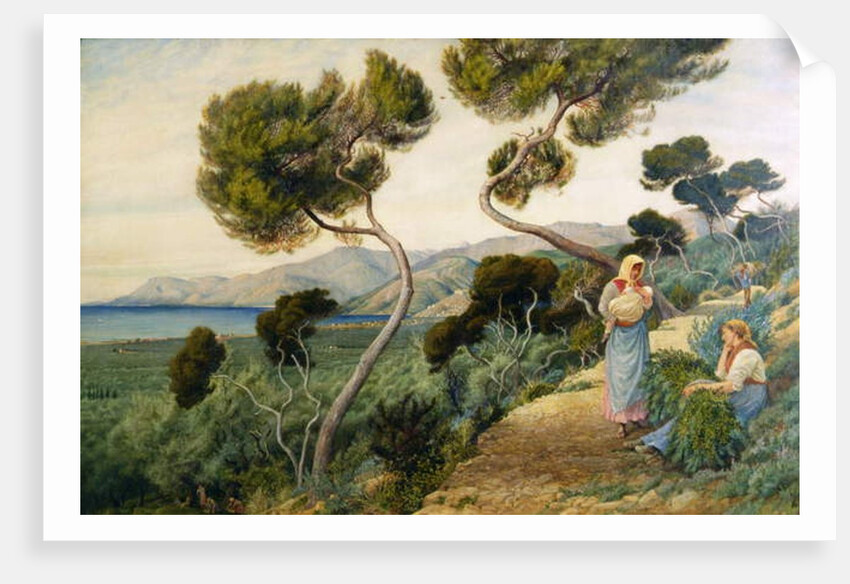 Bordighera by George 9th Earl of Carlisle Howard