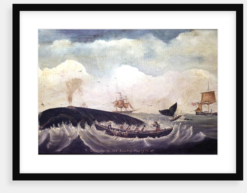 Whaling in the South Pacific by American School