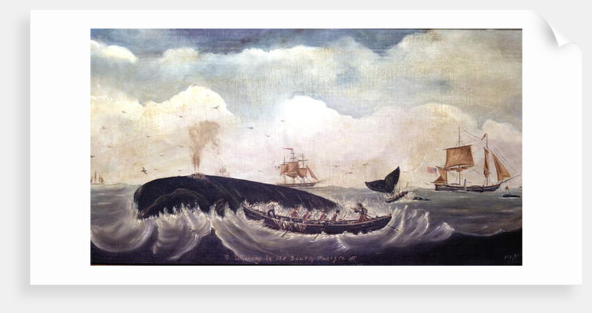 Whaling in the South Pacific by American School