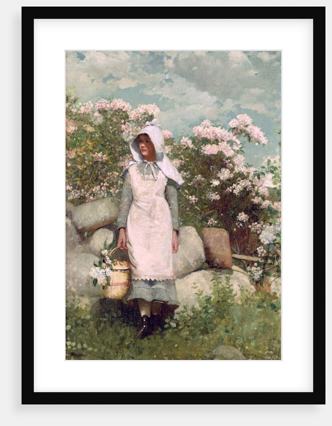 Girl and Laurel, 1879 by Winslow Homer
