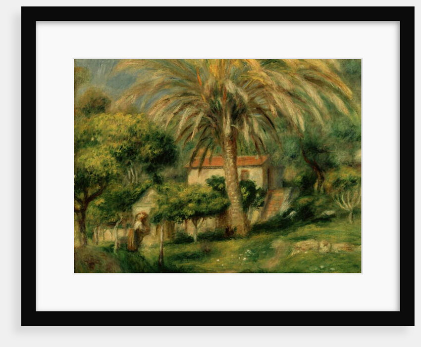 Palm Trees, 1902 by Pierre Auguste Renoir