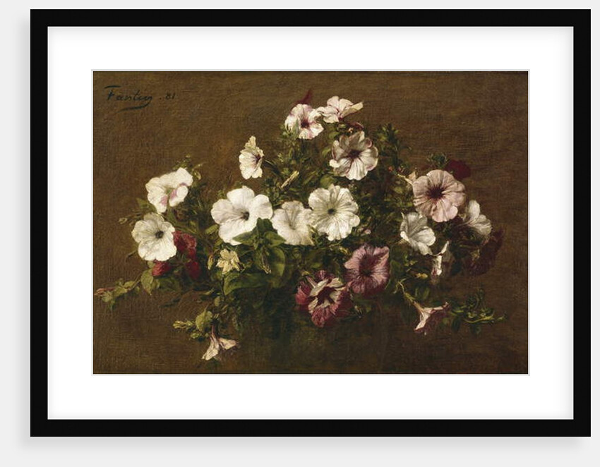 Petunias, 1881 by Ignace Henri Jean Fantin-Latour