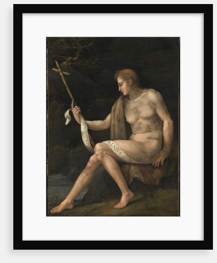 Saint John the Baptist in the Wilderness by Francesco Ubertini Il Bacchiacca