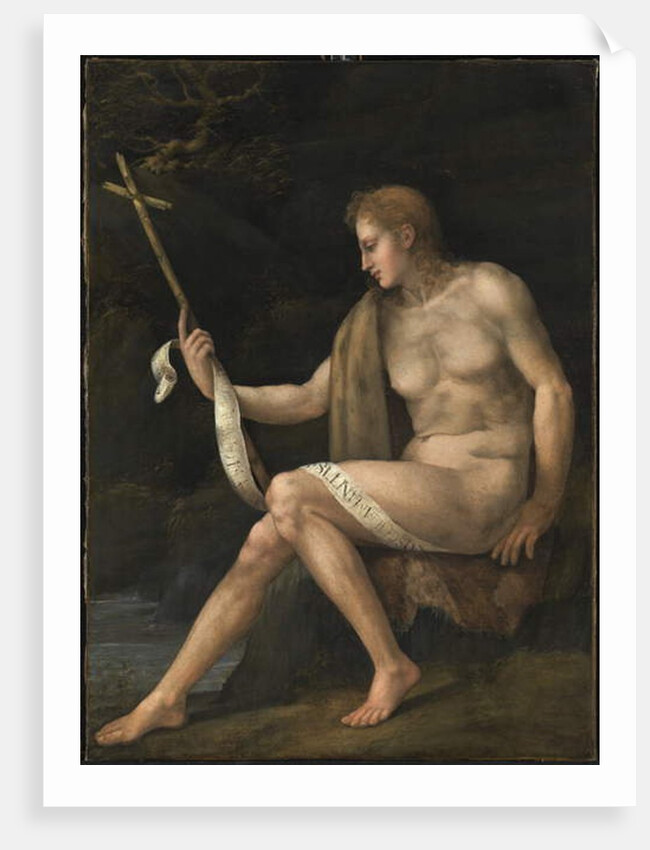 Saint John the Baptist in the Wilderness by Francesco Ubertini Il Bacchiacca