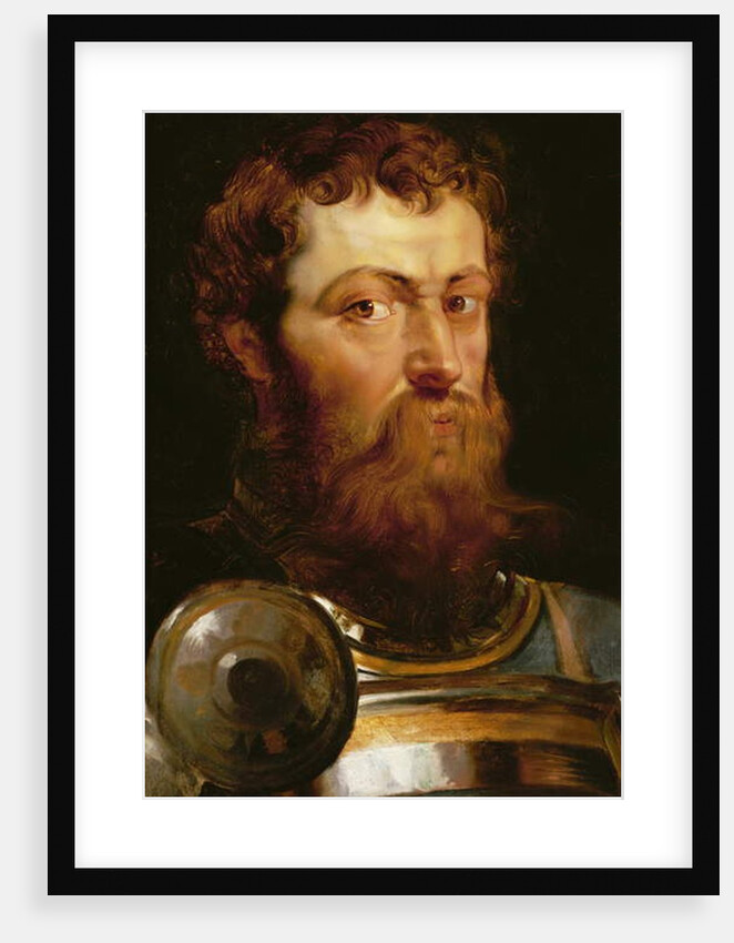 The Commander's Head by Peter Paul Rubens