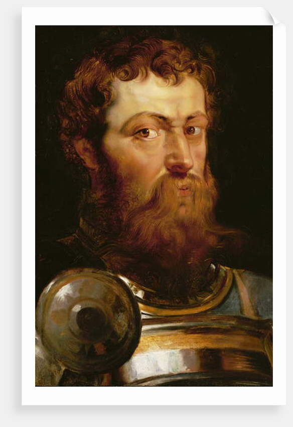 The Commander's Head by Peter Paul Rubens