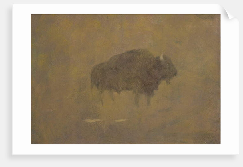 Buffalo in a Sandstorm by Albert Bierstadt
