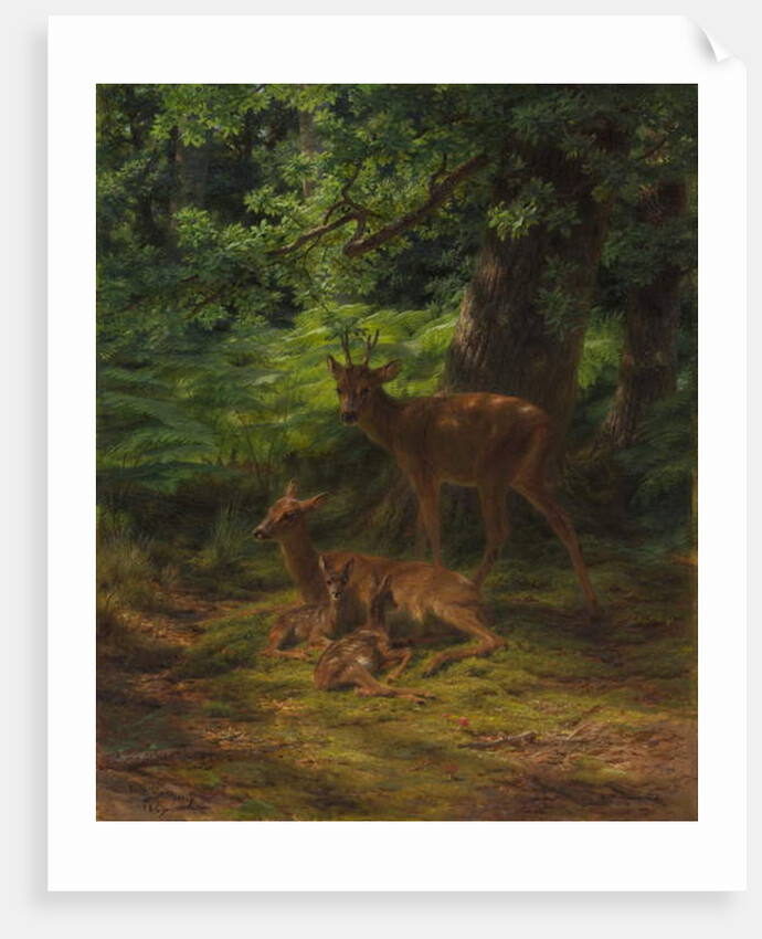 Deer in Repose, 1867 by Rosa Bonheur