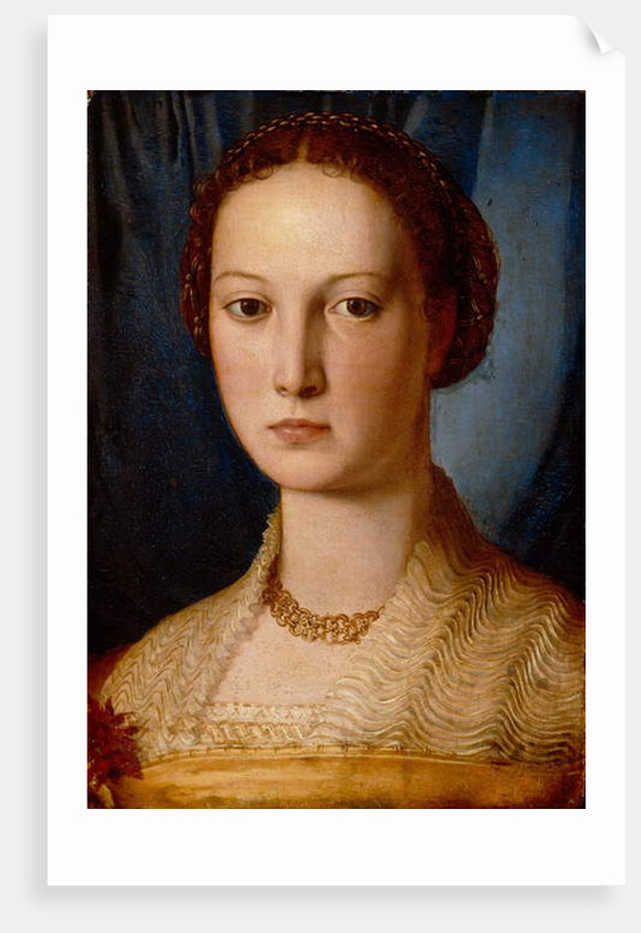 Costanza da Sommaia, c.1540 by Agnolo di Cosimo Bronzino