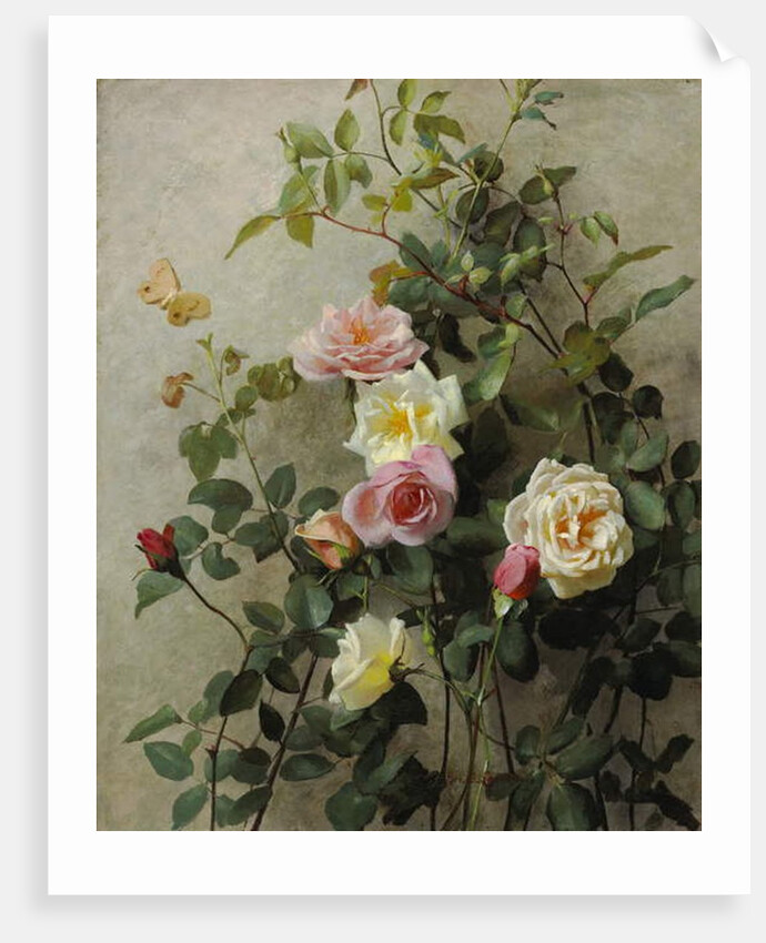 Roses on a Wall, 1877 by George Cochran Lambdin