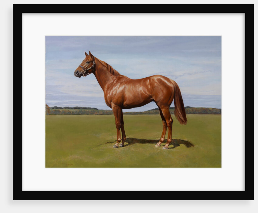 Colt, 2011 by Emma Kennaway