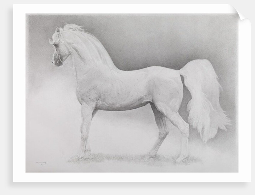 Moving Image, Series 2, 2013 by Emma Kennaway