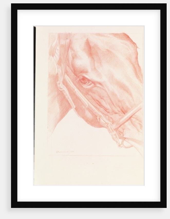 Portrait Head, 2012 by Emma Kennaway