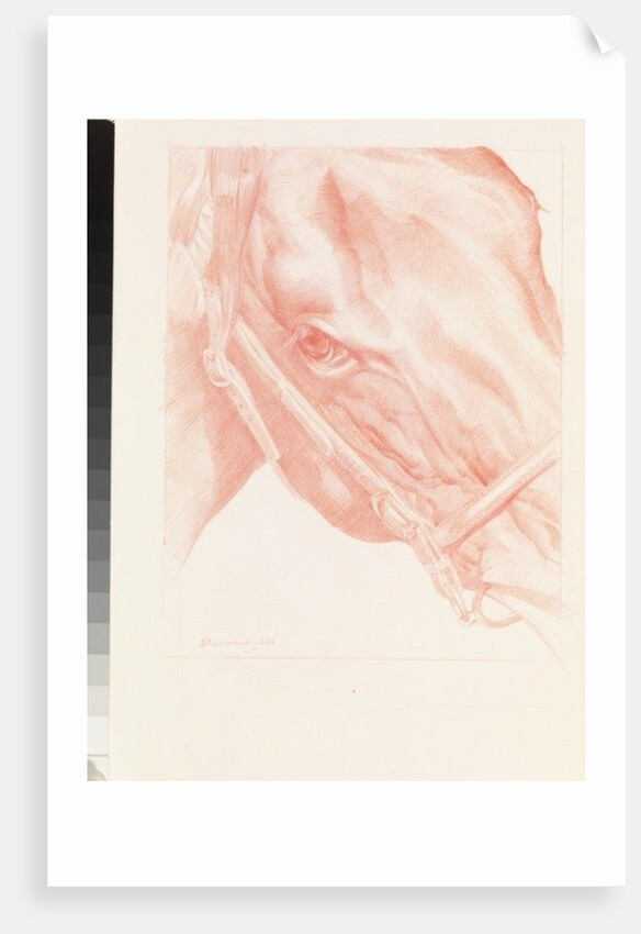 Portrait Head, 2012 by Emma Kennaway
