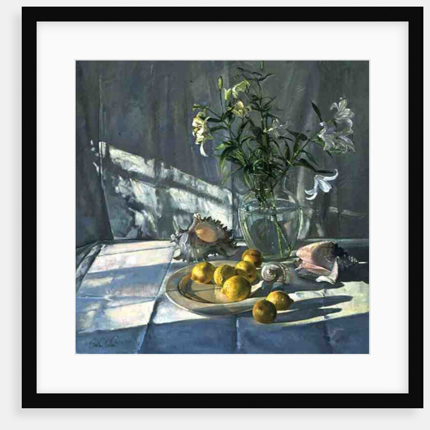 Reflections and Shadows by Timothy Easton