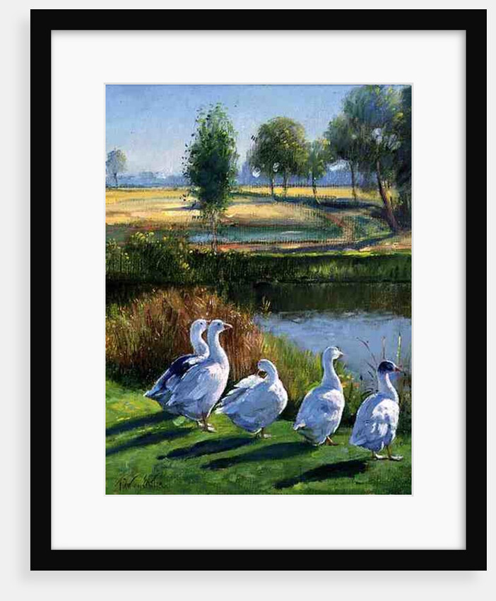 Gooseguard by Timothy Easton