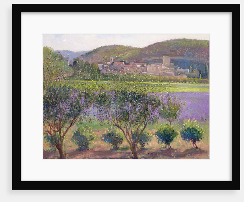 Lavender Seen Through Quince Trees, Monclus by Timothy Easton