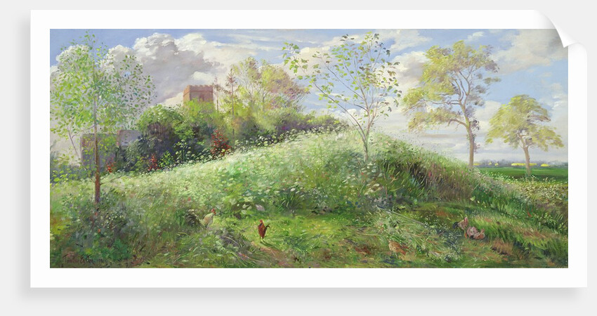 Cow Parsley Hill, 1991 by Timothy Easton