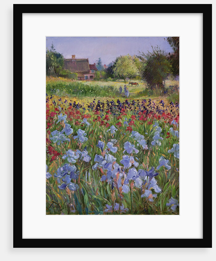 Entrance to Burgate Green by Timothy Easton