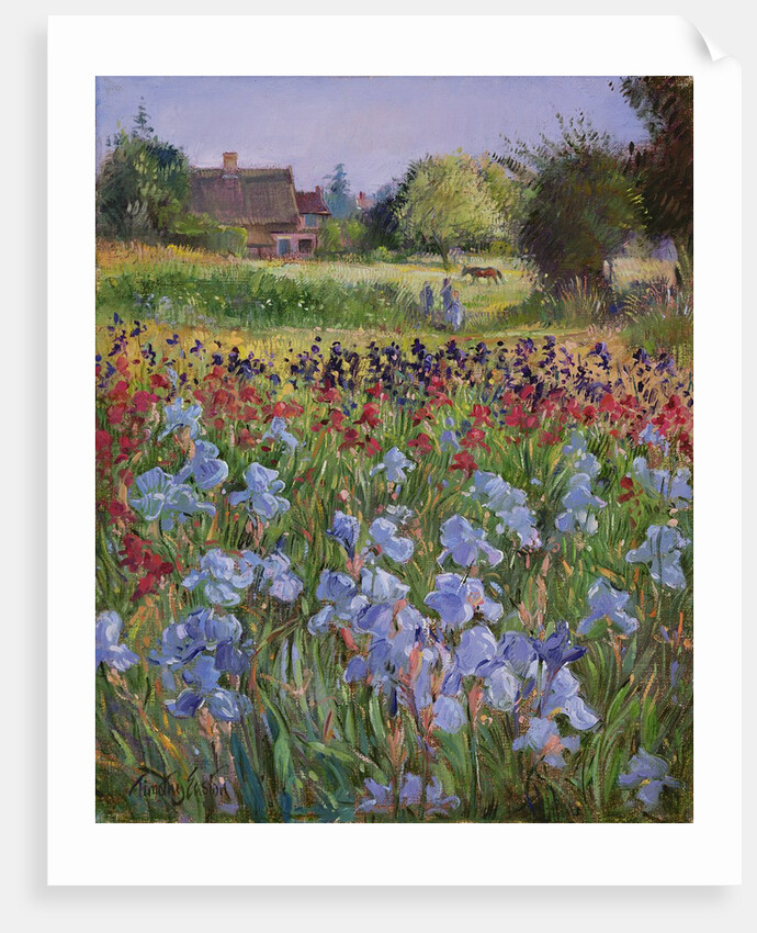 Entrance to Burgate Green by Timothy Easton