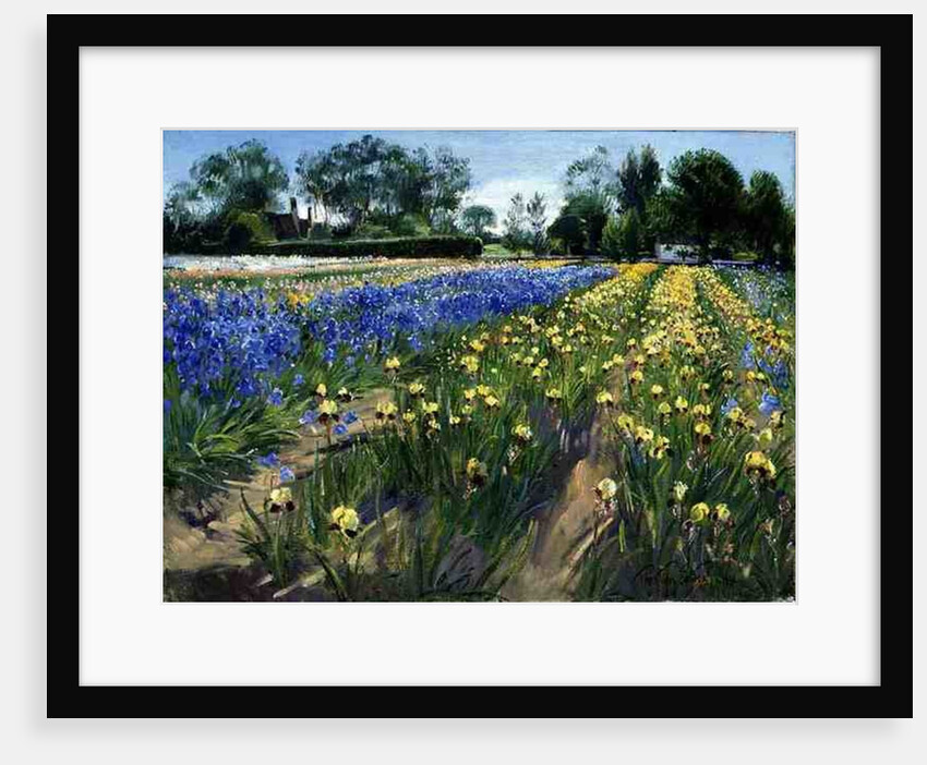 Towards the White Barn, 1996 by Timothy Easton