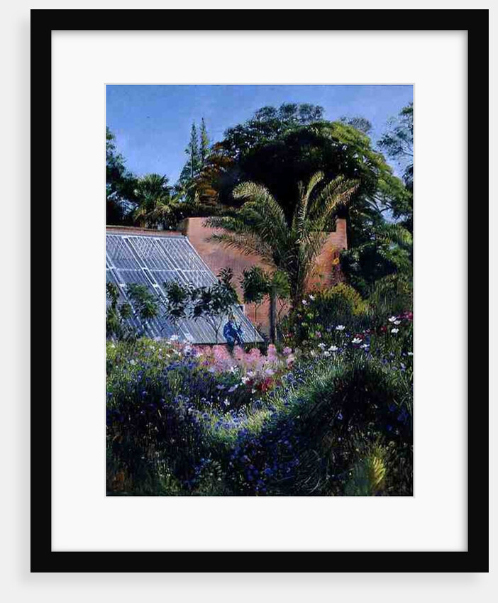 Cornflower Waves at Heligan by Timothy Easton