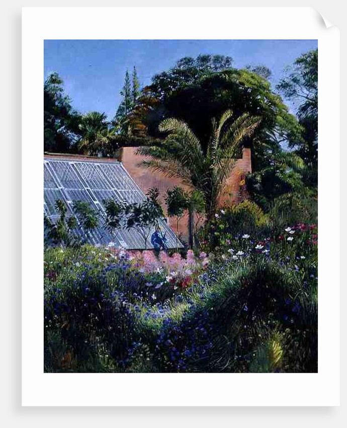 Cornflower Waves at Heligan by Timothy Easton