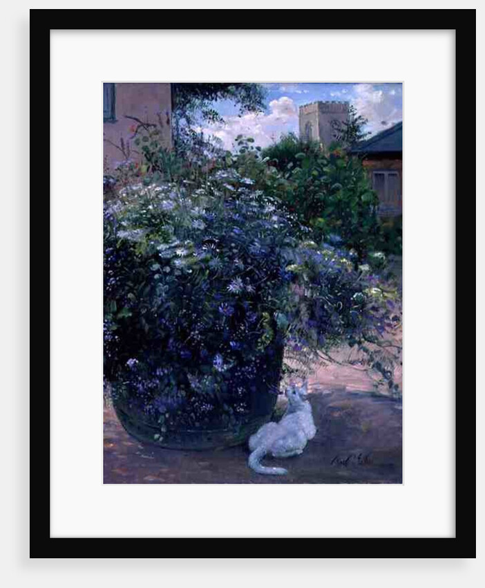Bee Watching by Timothy Easton