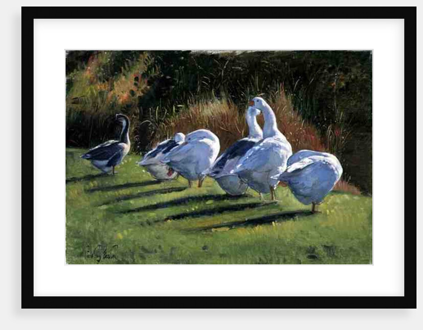 Moat Edge, Bedfield by Timothy Easton