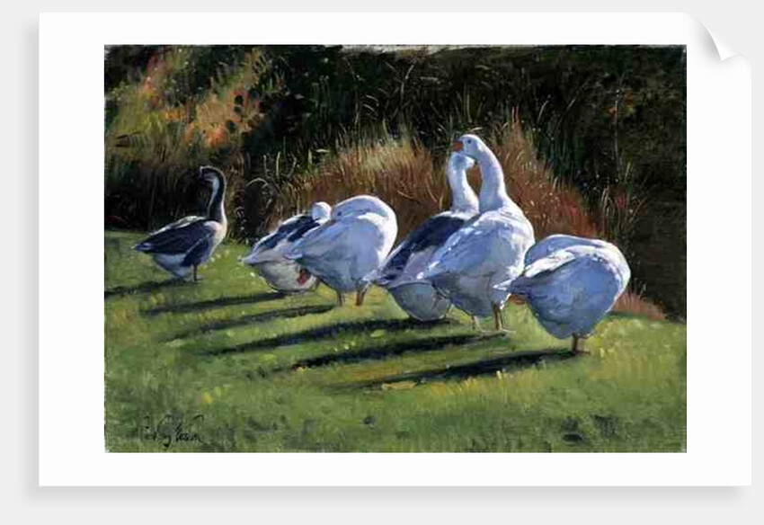 Moat Edge, Bedfield by Timothy Easton