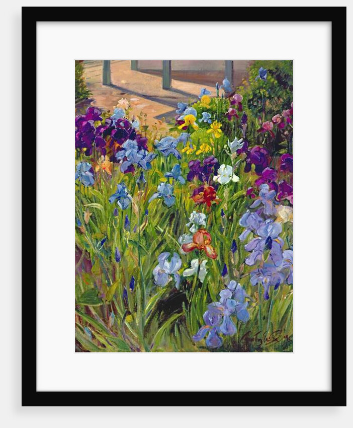 Irises and Summer House Shadows, 1996 by Timothy Easton