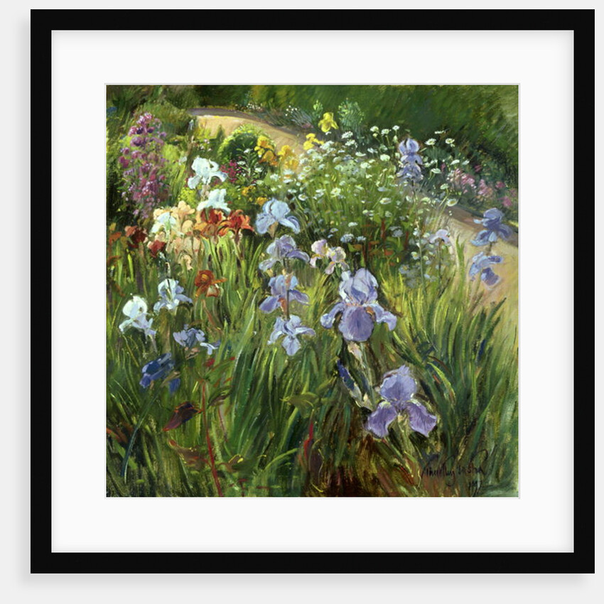 Irises and Oxeye Daisies, 1997 by Timothy Easton