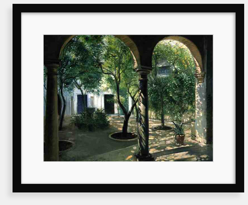 Shaded Courtyard, Vianna Palace, Cordoba by Timothy Easton
