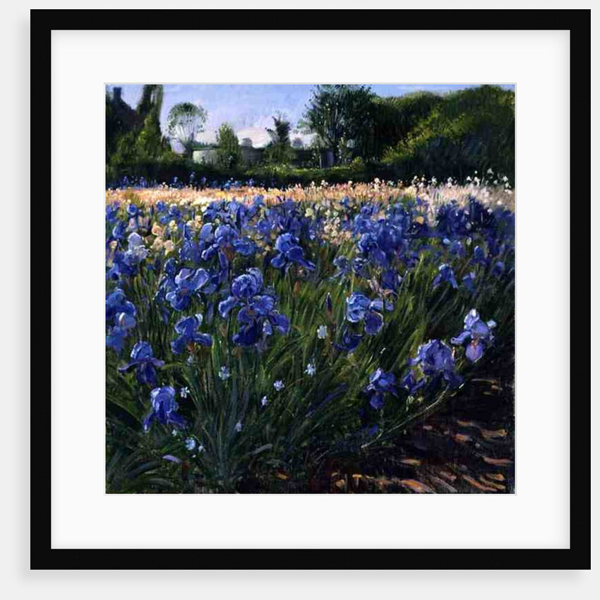 Above the Blue Irises by Timothy Easton