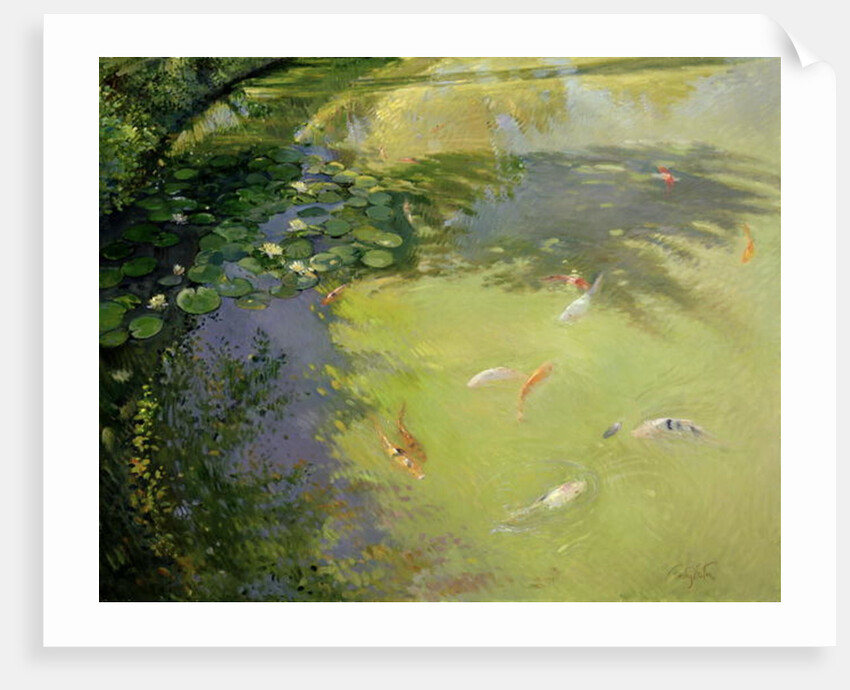 Featherplay by Timothy Easton