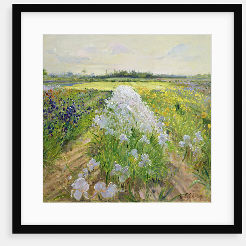 Down the Line, 1995 by Timothy Easton