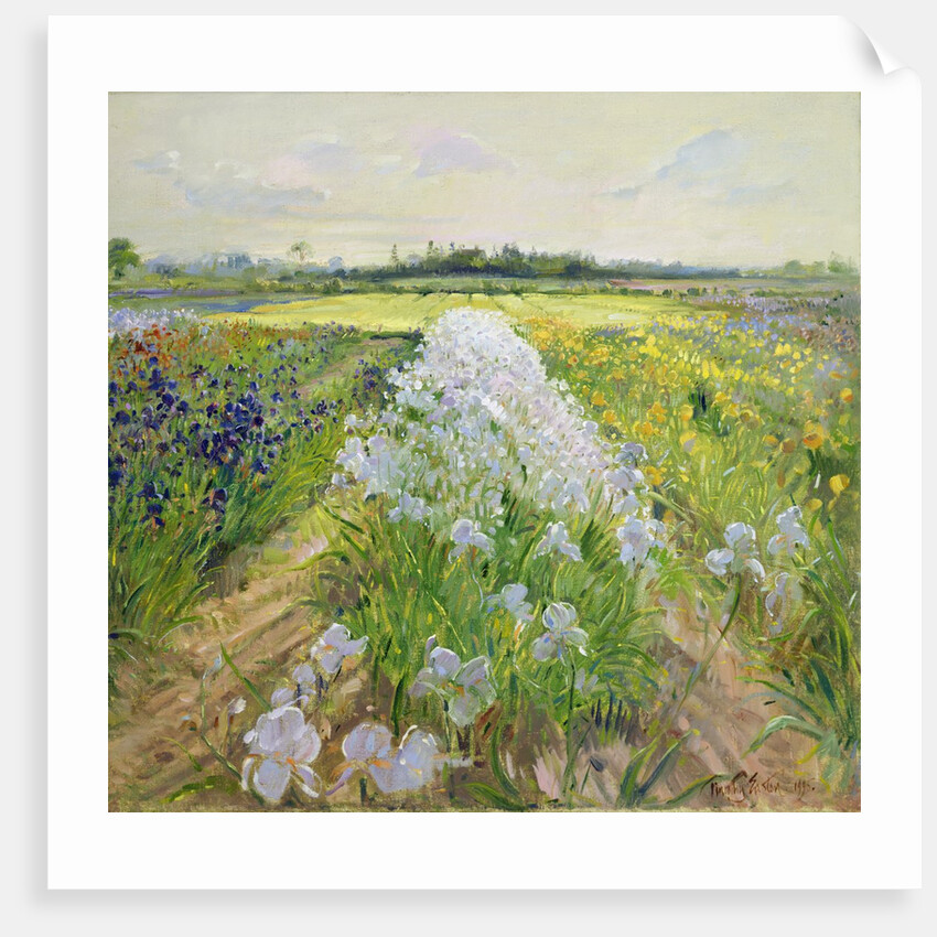 Down the Line, 1995 by Timothy Easton