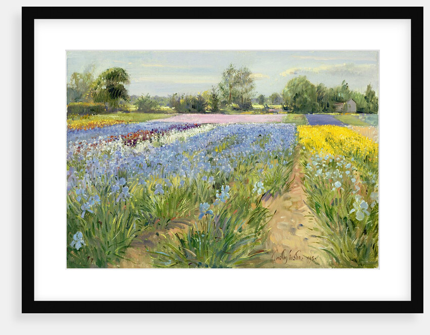 Floral Chessboard, 1995 by Timothy Easton