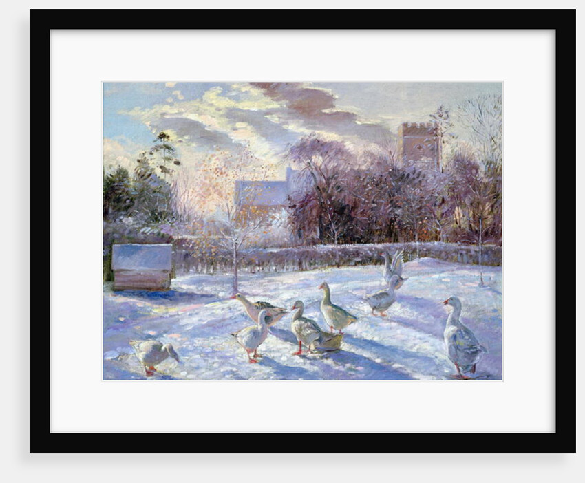 Winter Geese in Church Meadow by Timothy Easton