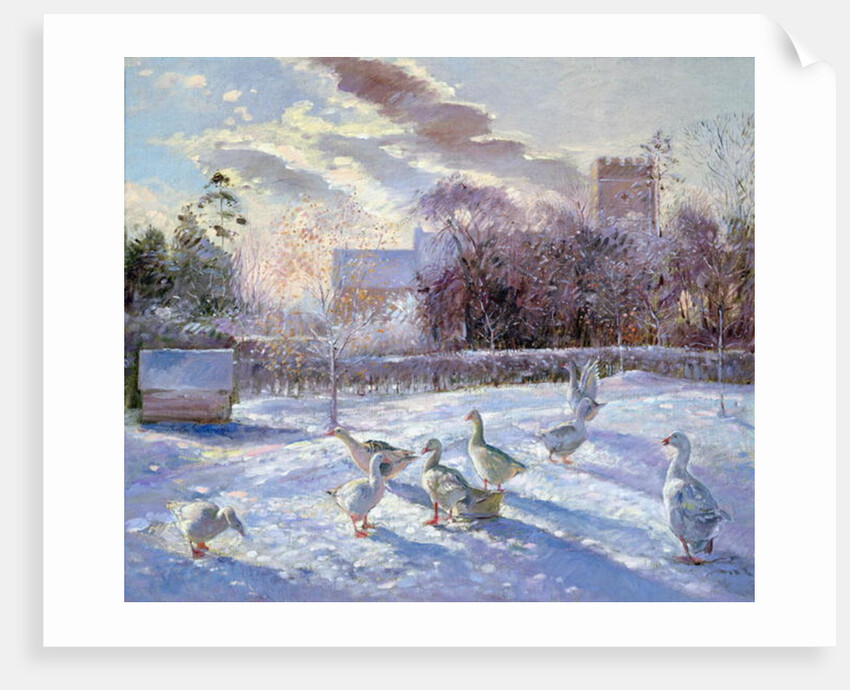 Winter Geese in Church Meadow by Timothy Easton