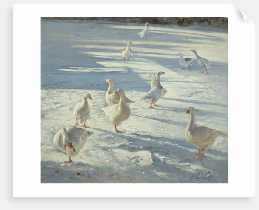 The Gathering by Timothy Easton