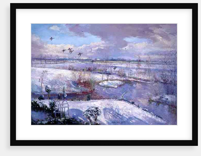 Flight Down, 1993 by Timothy Easton