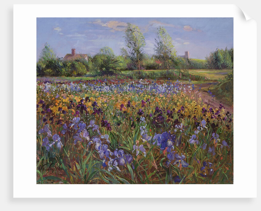Irises and Burgate Green by Timothy Easton