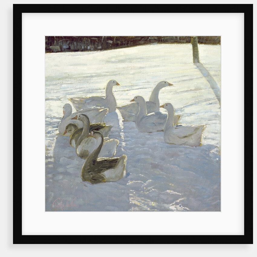 Geese Against the Light by Timothy Easton