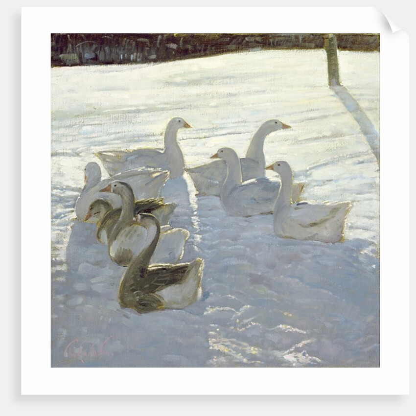 Geese Against the Light by Timothy Easton