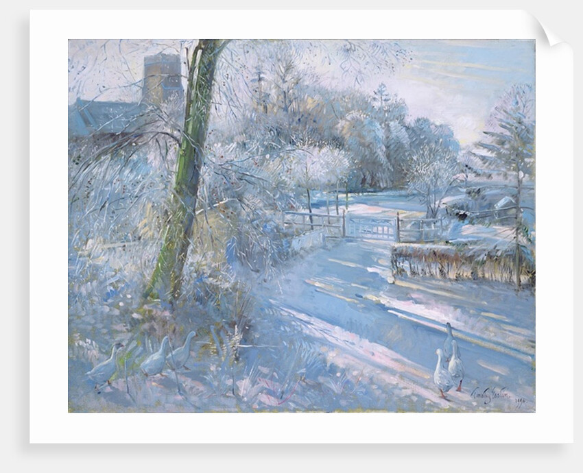 Hoar Frost Morning, 1996 by Timothy Easton
